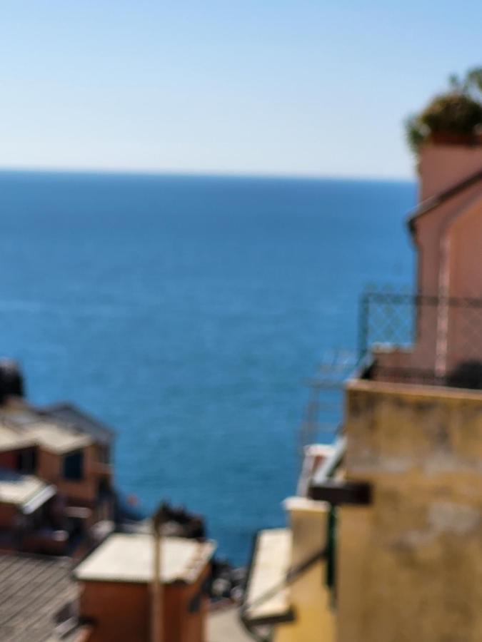 Casamare Daire Riomaggiore Dış mekan fotoğraf